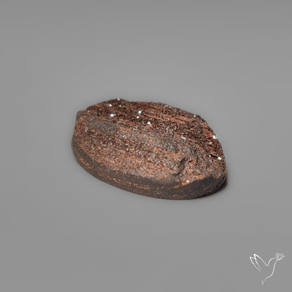 Arizona Petrified Wood Druzy