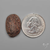 Arizona Petrified Wood Druzy