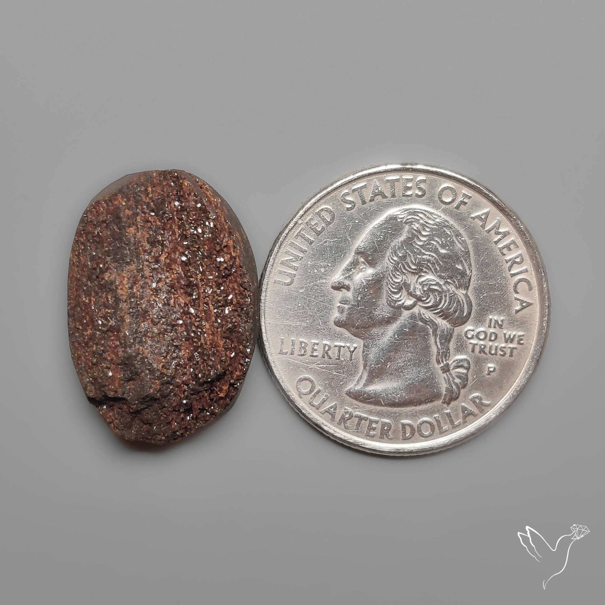 Arizona Petrified Wood Druzy