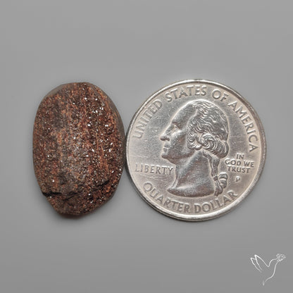 Arizona Petrified Wood Druzy