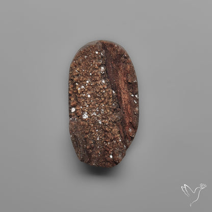 Arizona Petrified Wood Druzy