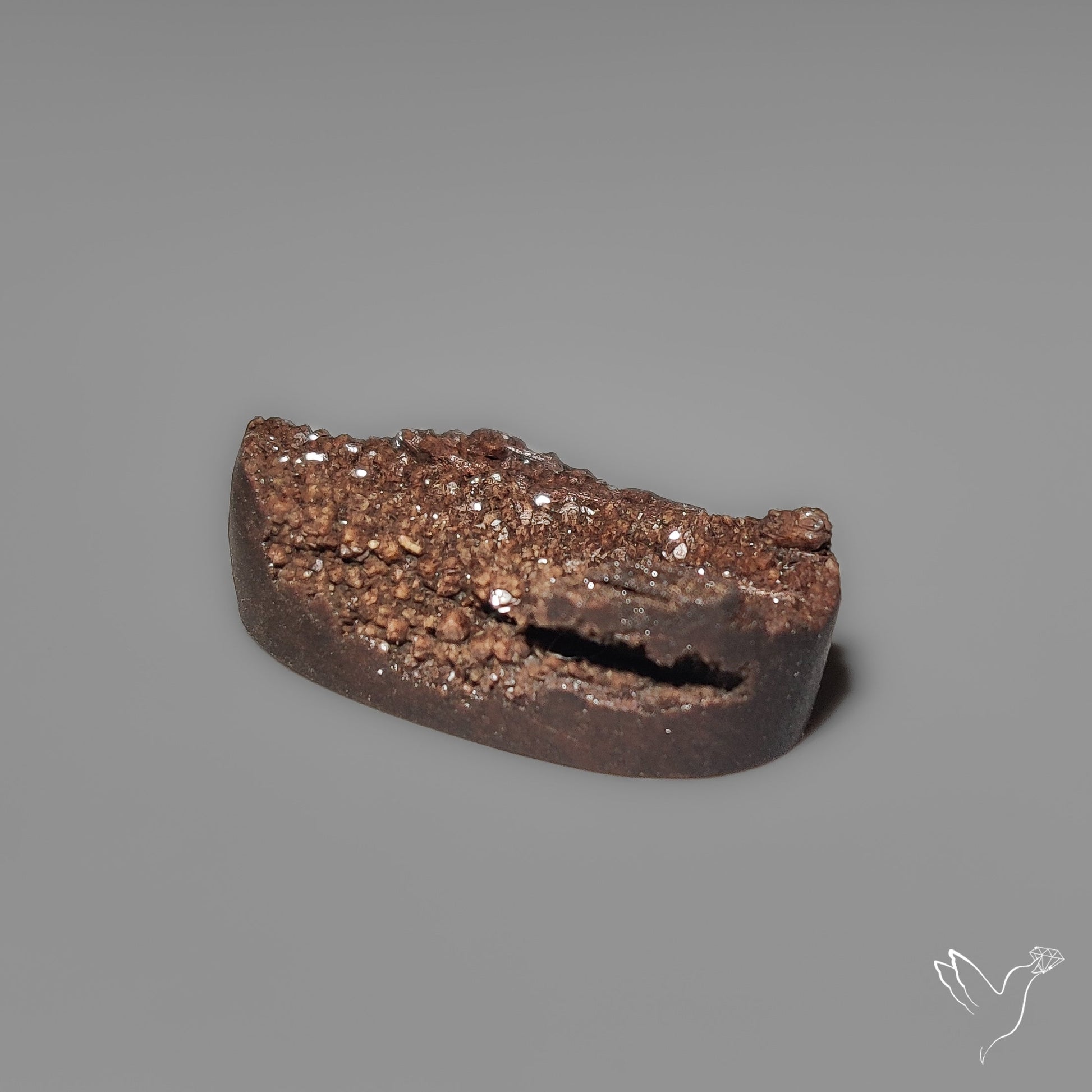 Arizona Petrified Wood Druzy