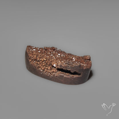 Arizona Petrified Wood Druzy