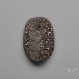 Arizona Petrified Wood Druzy
