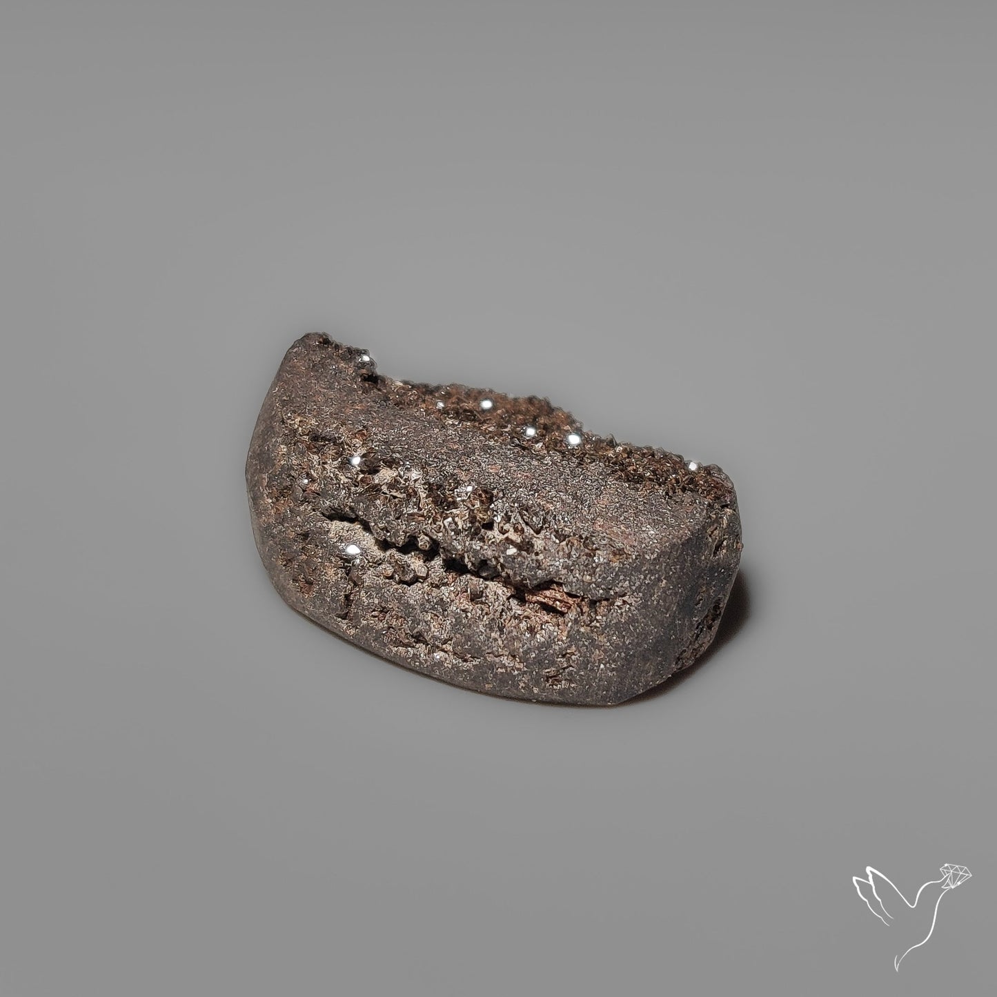 Arizona Petrified Wood Druzy