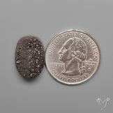 Arizona Petrified Wood Druzy