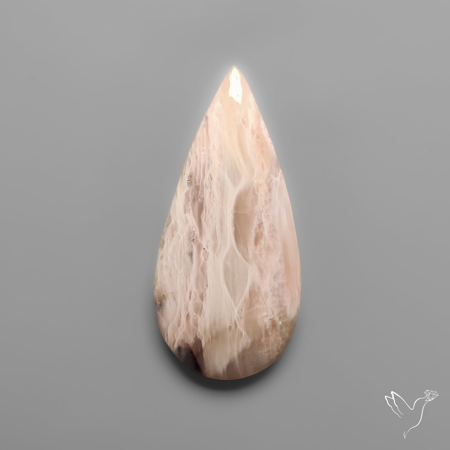 Indonesian Palmroot Agate Cabochon