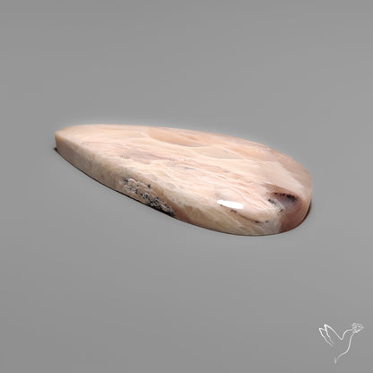 Indonesian Palmroot Agate Cabochon