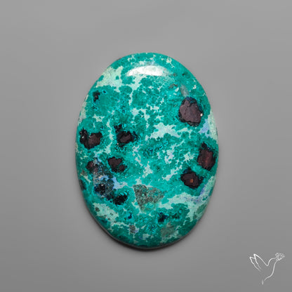 Rare Chrysocolla with Cubic Hematite Inclusions