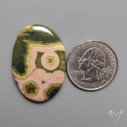 Pink Orbicular Ocean Jasper