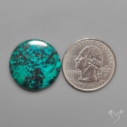 Peruvian Chrysocolla