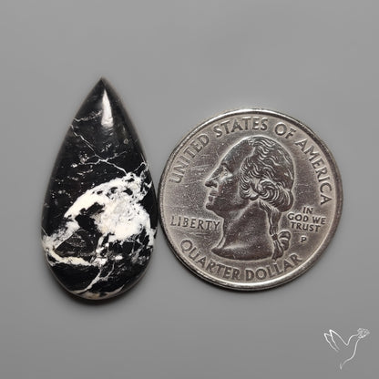 White Buffalo Cabochon