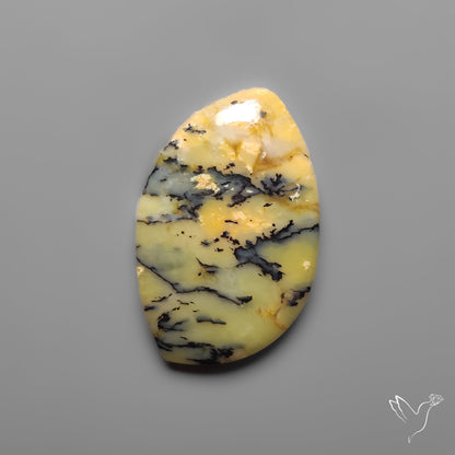 Australian Yellow Dendrtitic Agate