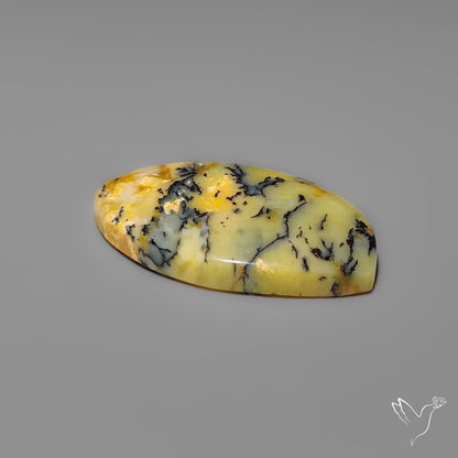 Australian Yellow Dendrtitic Agate
