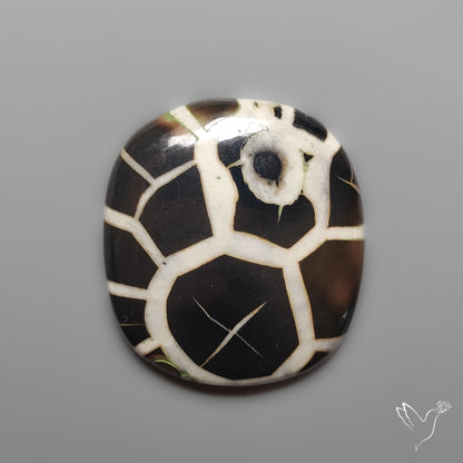Black Septarian