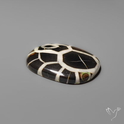 Black Septarian