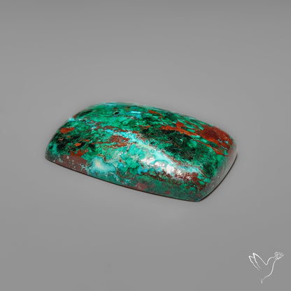 Parrot Wing Chrysocolla