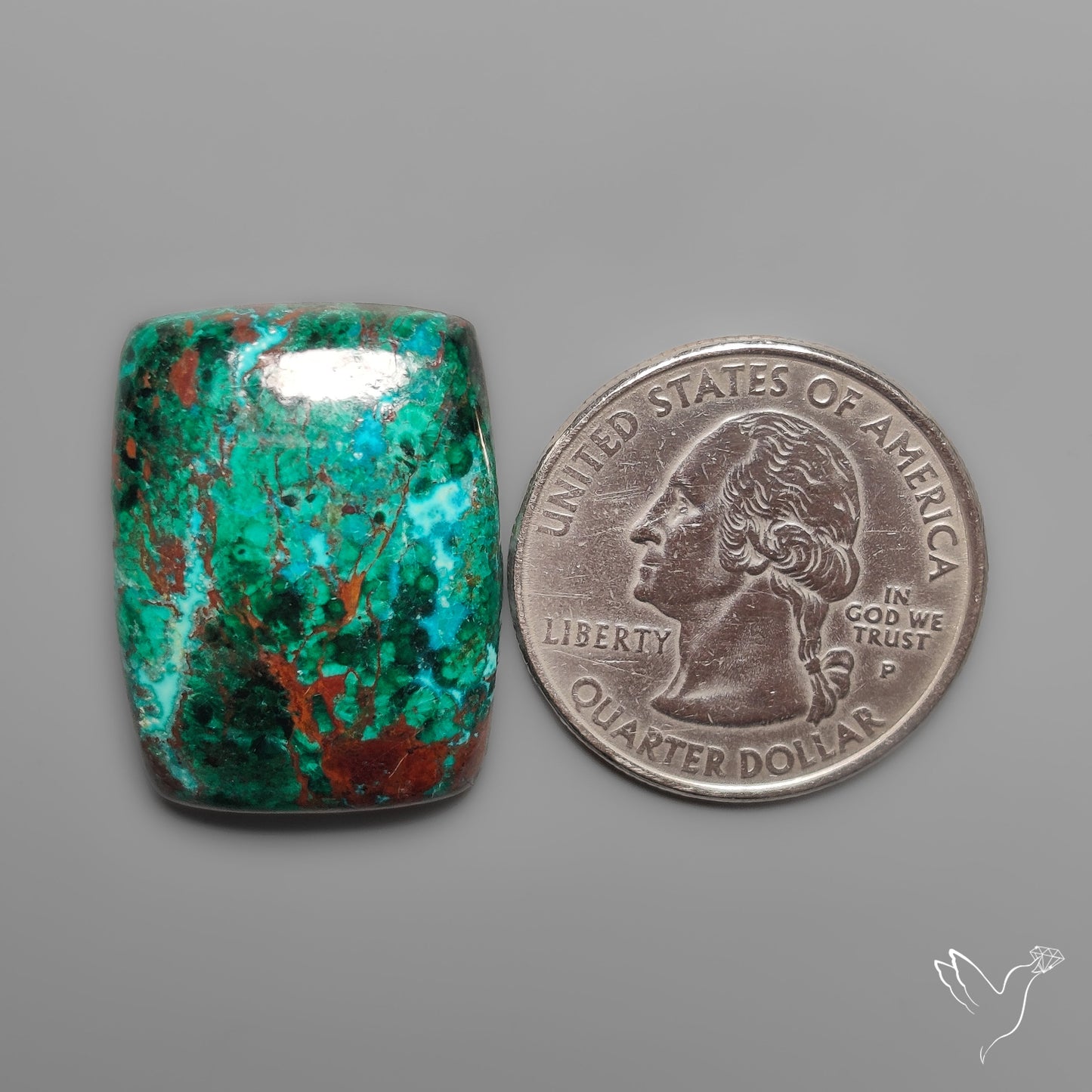Parrot Wing Chrysocolla