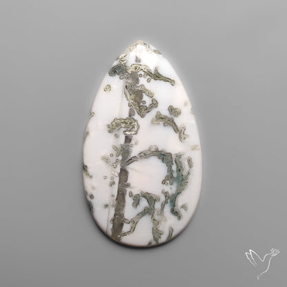 Tree Agate