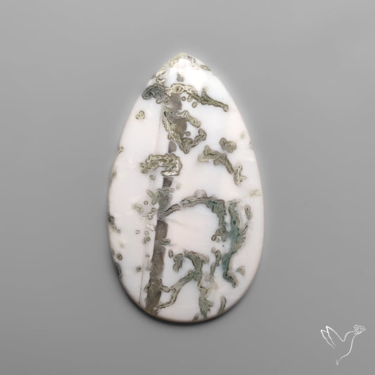 Tree Agate