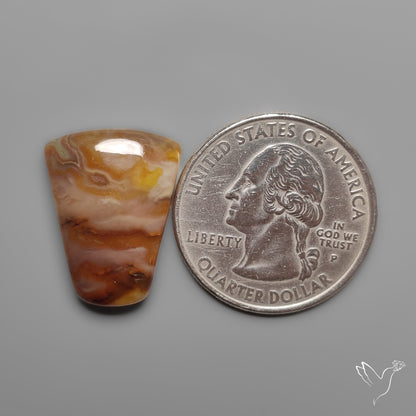 Northridge Plume Agate Cabochon