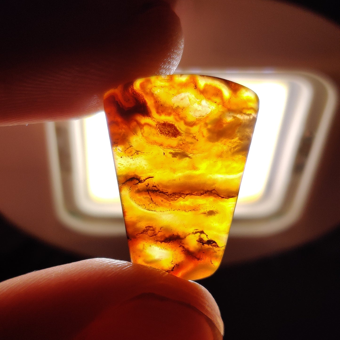Northridge Plume Agate Cabochon