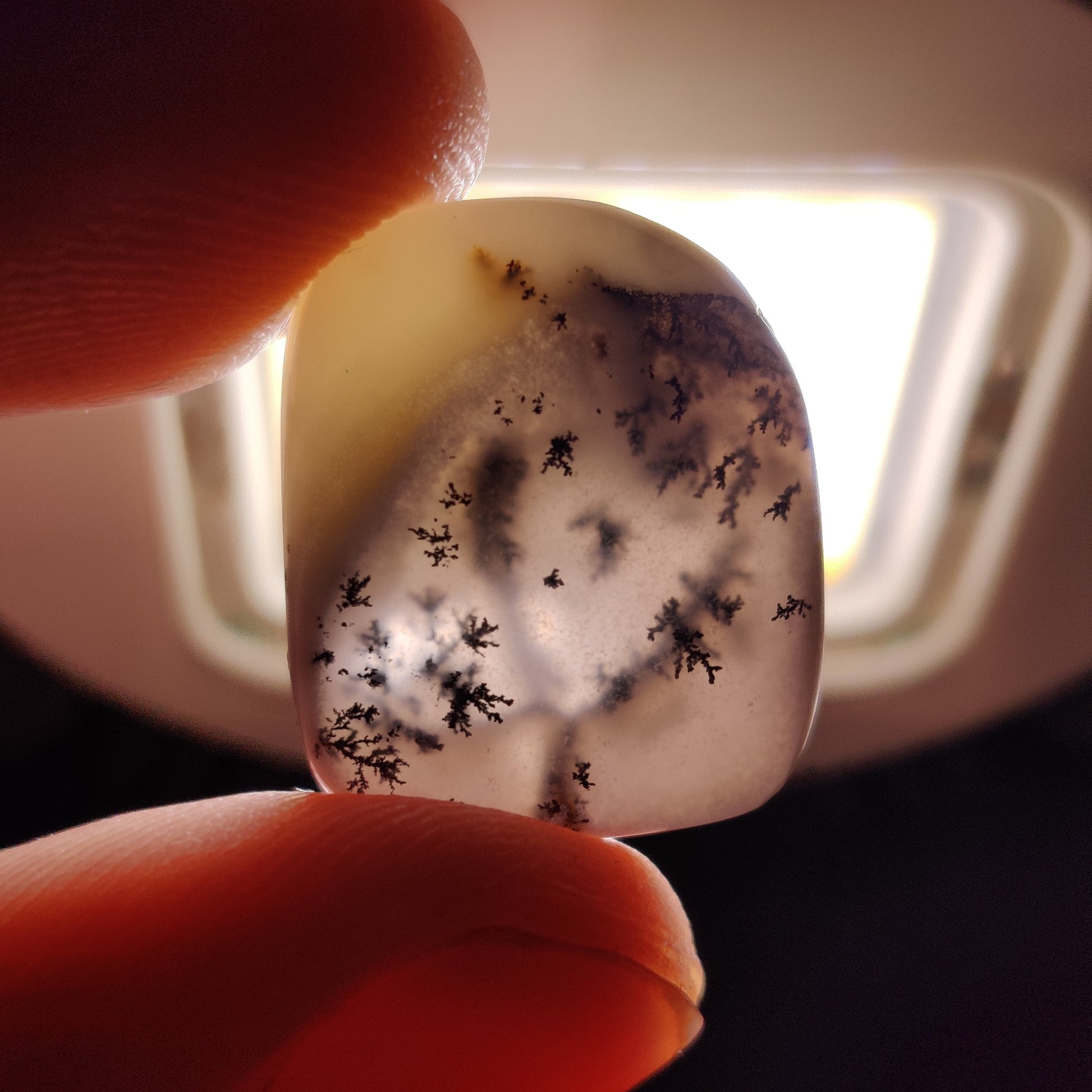 Dendritic Agate