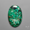 Parrot Wing Chrysocolla