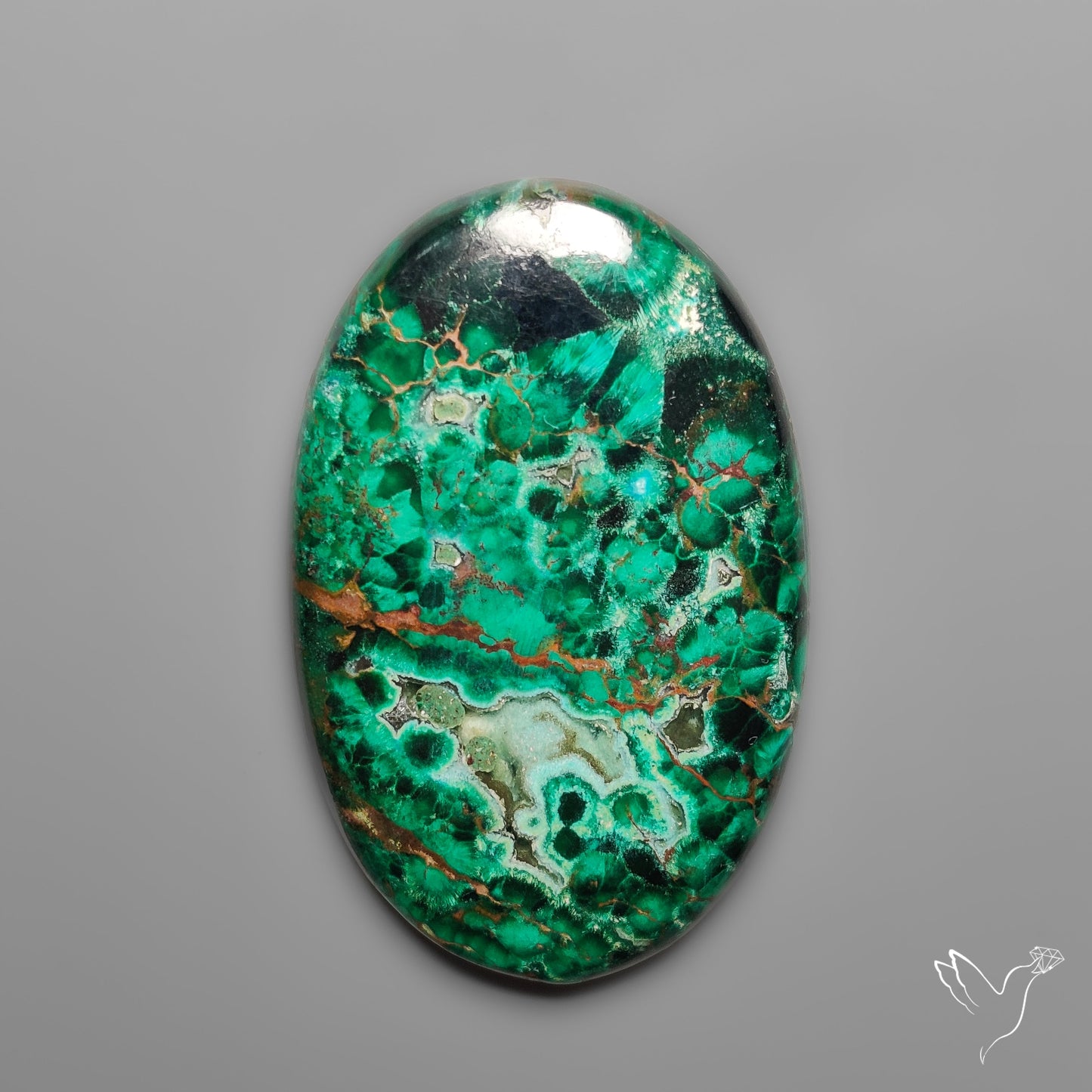 Parrot Wing Chrysocolla