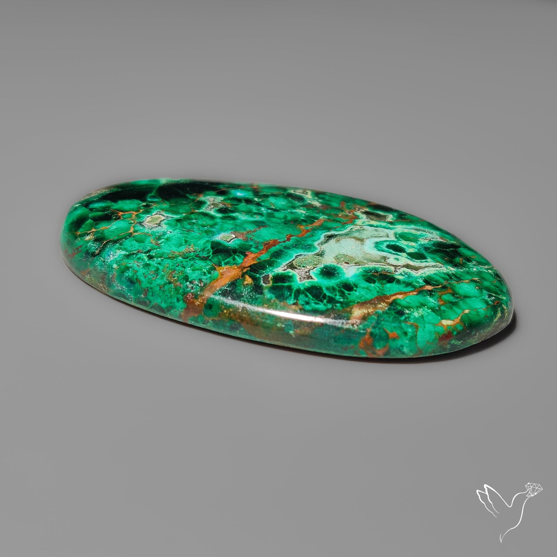 Parrot Wing Chrysocolla