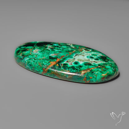 Parrot Wing Chrysocolla