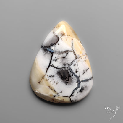 Spiderweb Dendritic Agate