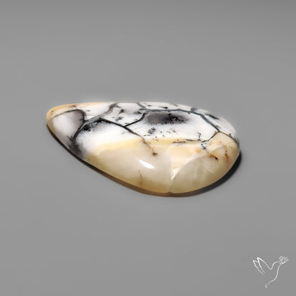 Spiderweb Dendritic Agate