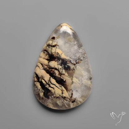 Australian Tiger Dendritic Agate