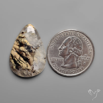 Australian Tiger Dendritic Agate