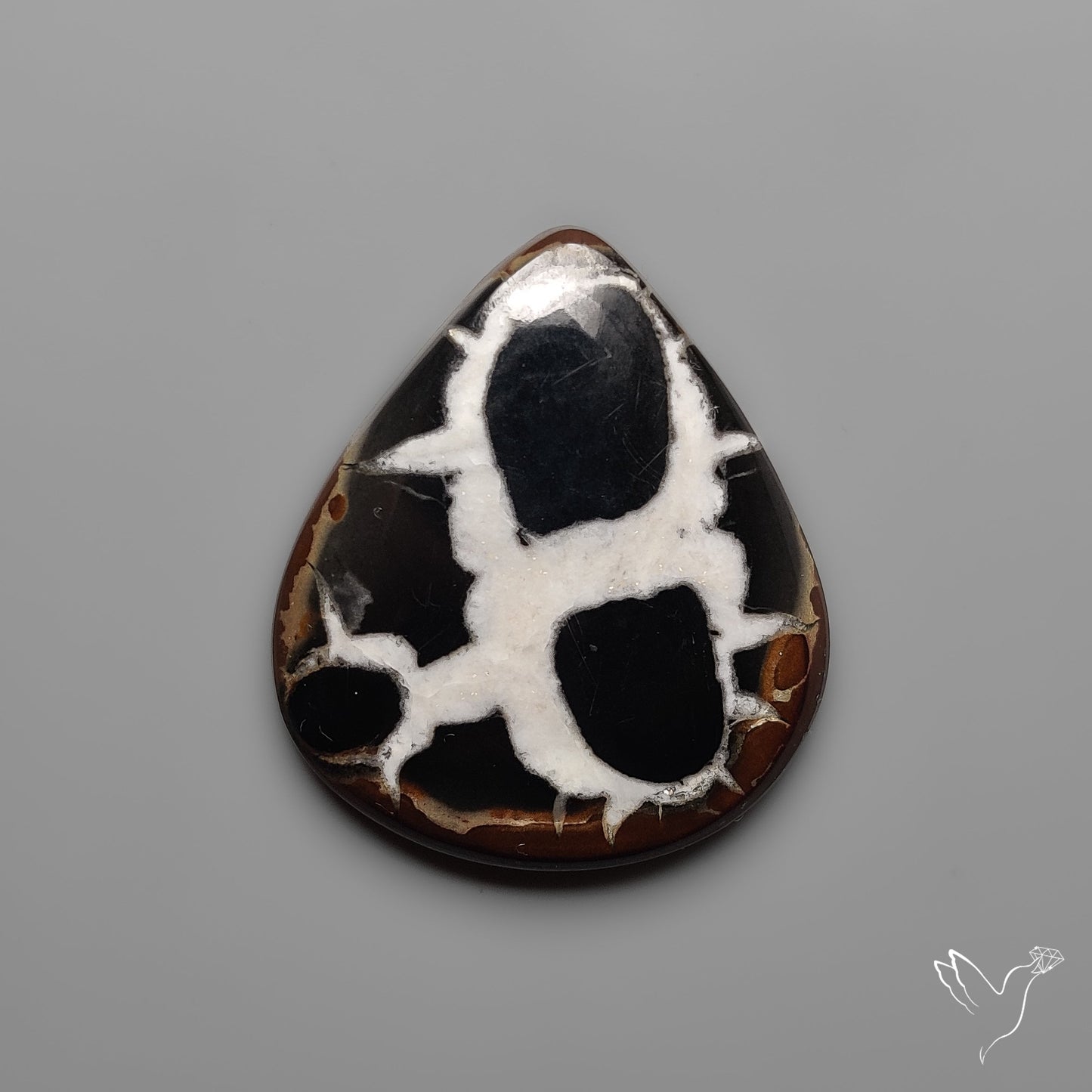 Black Septarian Fossil