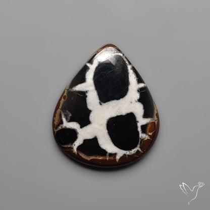 Black Septarian Fossil