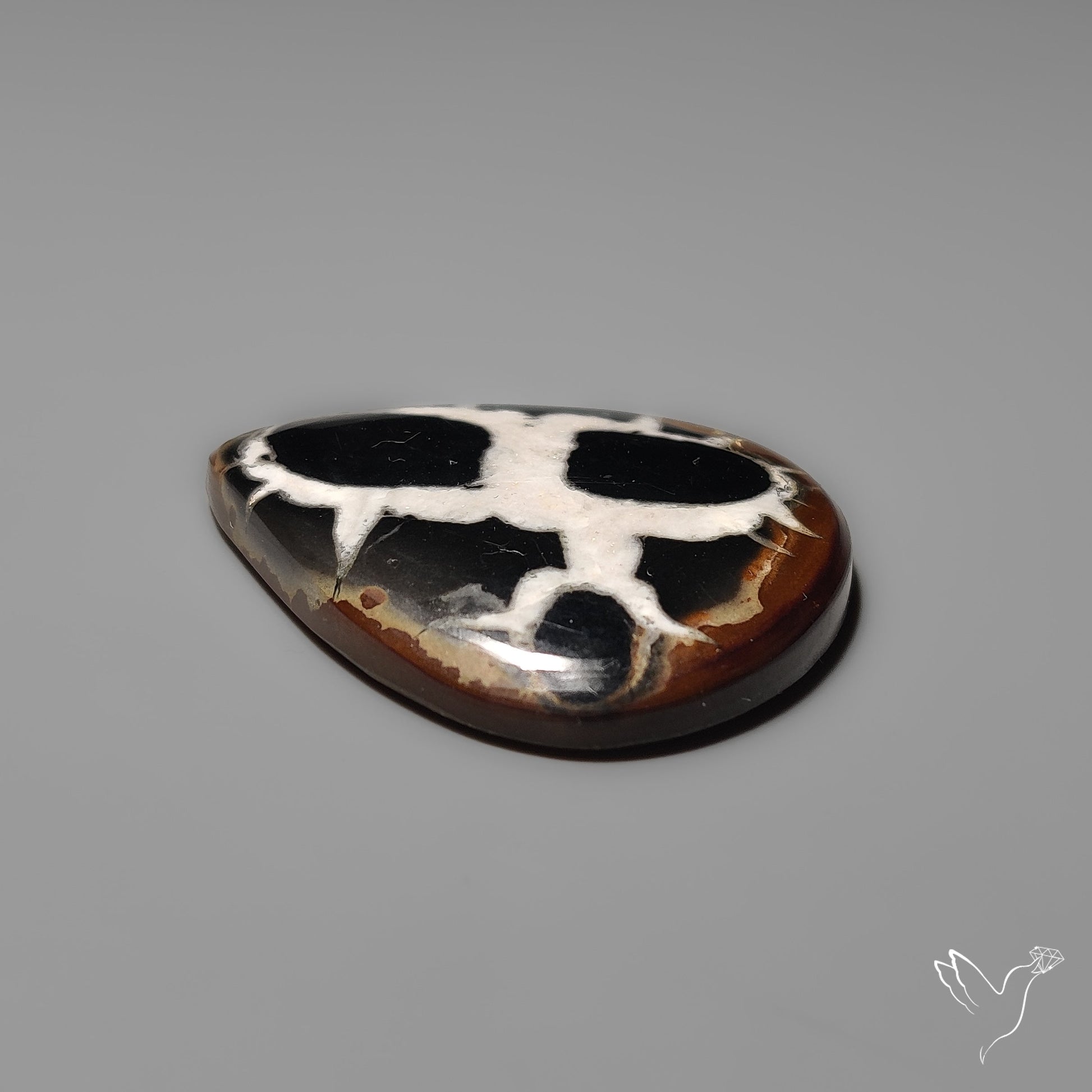 Black Septarian Fossil