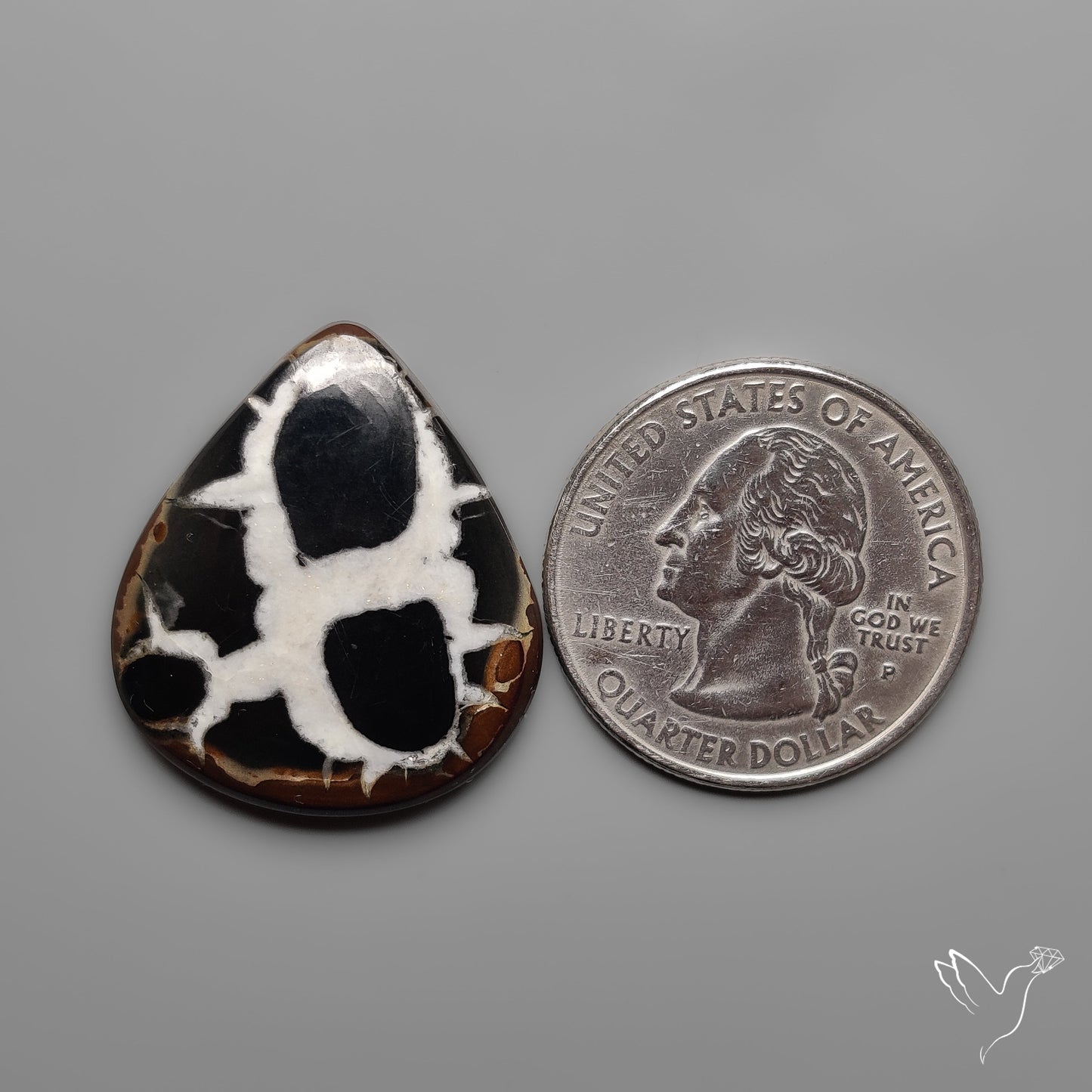 Black Septarian Fossil