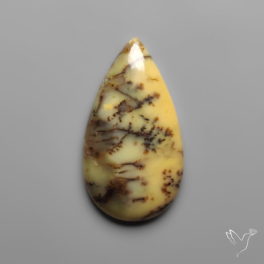 Australian Yellow Dendrtitic Agate