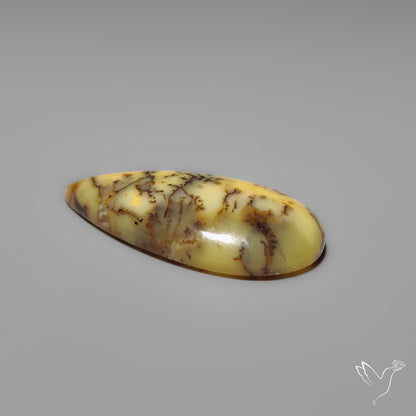 Australian Yellow Dendrtitic Agate