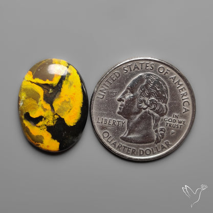 Eclipse Bumble Bee Jasper