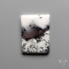Dendritic Agate