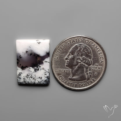 Dendritic Agate