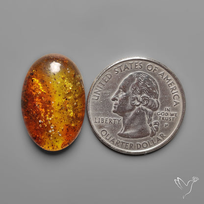 Baltic Amber