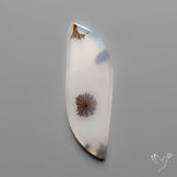Scenic Agate