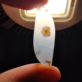 Scenic Agate
