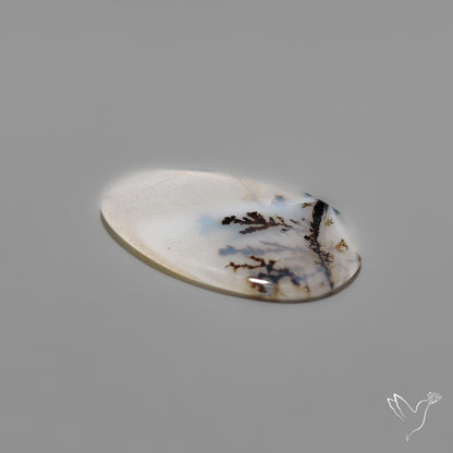 Scenic Agate