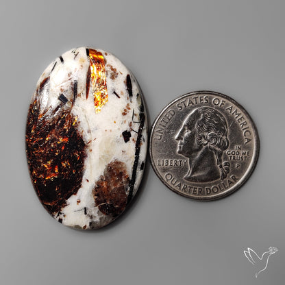 Astrophyllite
