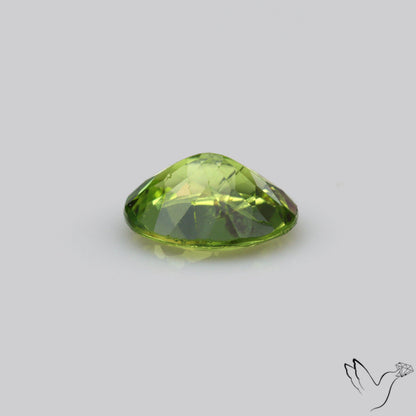 Faceted Peridot Rare Large Sized From Arizona